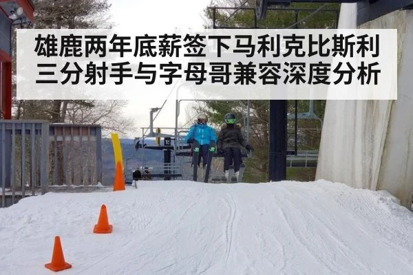 雄鹿两年底薪签下马利克比斯利 三分射手与字母哥兼容深度分析